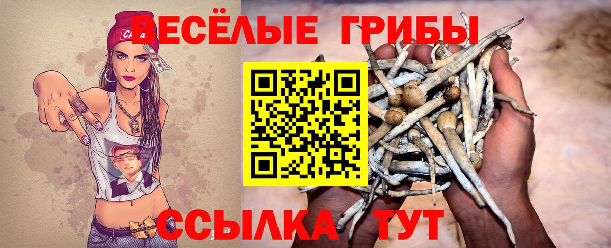 Псилоцибиновые грибы Magic Shrooms Сызрань