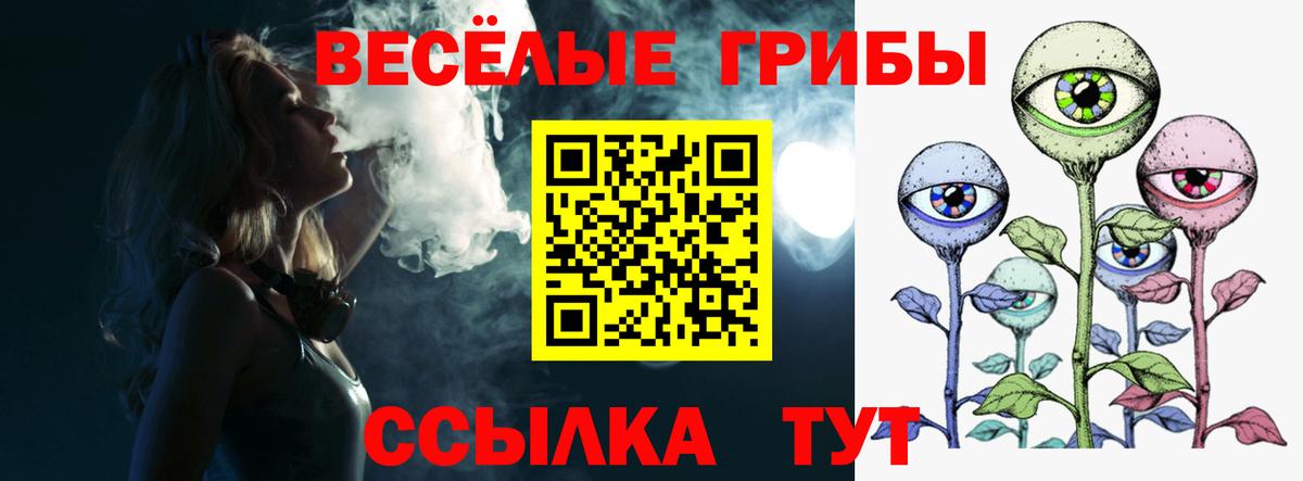 Галлюциногенные грибы Cubensis  Вход с VPN  Сызрань 